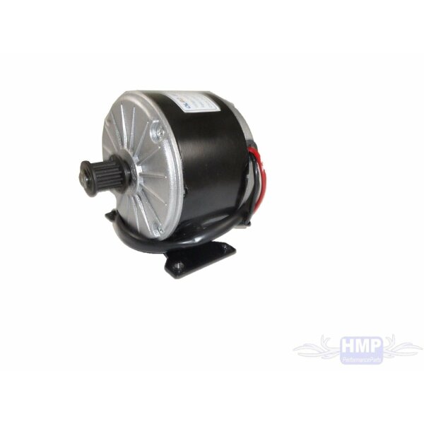 Elektro Motor mit Halter 36V 250W MY1015 2750 RPM Riemenritzel 5M RC