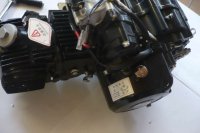 HMParts Pitbike Monkey 4-Gang Motor Set 110ccm halbautom. E-Start oben &amp; Kickst.