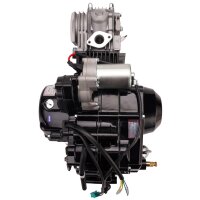 Motor Set 110ccm 4-Gang  halbautom. E-Start oben & Kickst. Pitbike Monkey