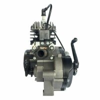 Motor 50 ccm luftgekühlt 2-Takt für KXD Moto Pro NRG50 HMParts