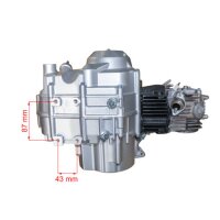 Motor SET 125 ccm Vollautomatik E-Starter oben ATV Quad Kinderquad HMParts