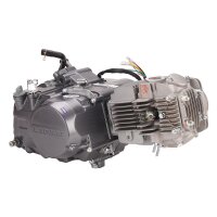 Motor SET - Lifan 140 ccm 1P55FMJ Pit Bike Dirt Bike Monkey HMParts
