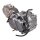 Motor SET - Lifan 140 ccm 1P55FMJ Pit Bike Dirt Bike Monkey HMParts