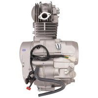 Motor SET Dirt Max YX 140 ccm ATV Quad Dirt Bike Pit Bike Monkey HMParts