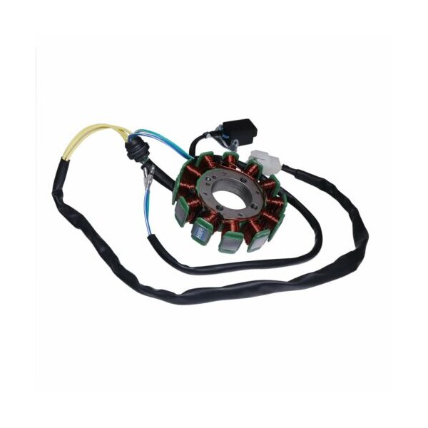 Zündung 250 ccm Typ 6 ATV Quad Dirt Bike HMParts