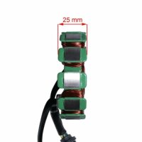 Zündung 250 ccm Typ 6 ATV Quad Dirt Bike HMParts