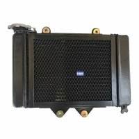 HMParts Kühler Wasserkühler Typ3 ATV Quad Bashan