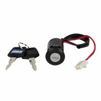 Elektro Motor Bausatz 36 V 1000 W Typ 1 mit Halter