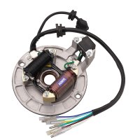 HMParts Monkey DAX Dirt Bike Magneto Zündung Lifan...
