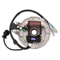 HMParts Monkey DAX Dirt Bike Magneto Zündung Lifan 125 ccm Typ5