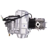 Motor 50 ccm 4-Gang E-Start unten & Kickstarter...