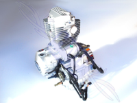 HMParts ATV / Quad / Shineray Motor - SET 200 ccm luftgek&uuml;hlt - 163FML mit R&uuml;ckw&auml;rtsgang