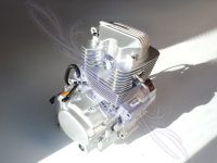 HMParts ATV / Quad / Shineray Motor - SET 200 ccm luftgekühlt - 163FML, 5-Gang ohne Rückwärtsgang