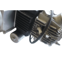 4-Gang Motor Set 70 ccm halbautom. Kick & E-Starter unten Pitbike Monkey HMParts