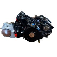 Motor SET 125ccm vollautomatik Rückwärtsgang 1+1 E Starter oben