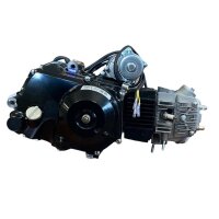 Motor SET 125ccm vollautomatik Rückwärtsgang 1+1 E Starter oben