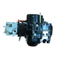 Motor SET 125ccm vollautomatik Rückwärtsgang 1+1 E Starter oben