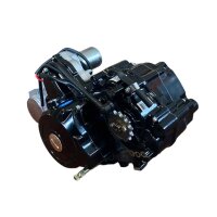 Motor SET 125ccm vollautomatik Rückwärtsgang 1+1 E Starter oben