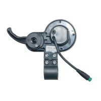 Display mit Daumengas 36V USB TF-100 E-Scooter Elektroroller