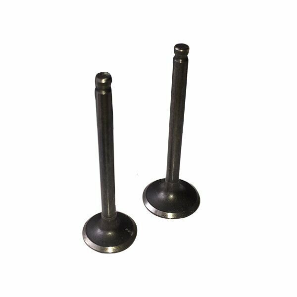 Ventil-Set YX 150/160ccm Pit Bike Dirt Bike Monkey Dirt Max