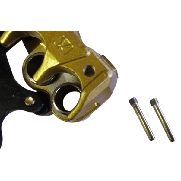 Simson SR50, SR80 Bremsscheibenträger Bei