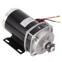 Elektro Motor 36V 800W 600RPM LY8 1068C E Scooter RC