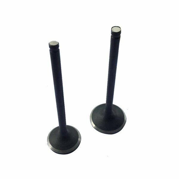 Ventil Set CG 250 ccm Pit Bike Dirt Bike ATV Quad  34 / 28,4mm