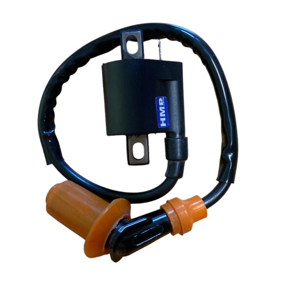 Zündspule 12V mit wasserdichtem Stecker 125 - 250 ccm ATV Quad Roller Dirtbike Pitbike