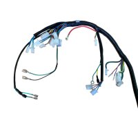 HMParts Kabelbaum für Motor GY6 250 ccm ATV Quad Buggy Tao etc schneller Versand