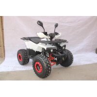 Gepäckträger Platte vorne oder hinten Kunststoff ATV Quad HMP Hummer
