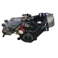 Motor GY6 200 ccm mit Rückwärtsgang 161QML ATV Quad Big Hummer & andere Modelle