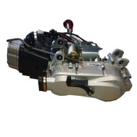 Motor GY6 200 ccm mit Rückwärtsgang 161QML ATV Quad Big Hummer & andere Modelle