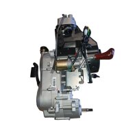 Motor GY6 200 ccm mit Rückwärtsgang 161QML ATV Quad Big Hummer & andere Modelle