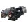 Motor GY6 200 ccm mit Rückwärtsgang 161QML ATV Quad Big Hummer & andere Modelle