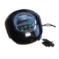 Scheinwerfer Cockpit mit Zündschloss Akkuanzeige Hupe 60V T2 Citycoco E-Scooter