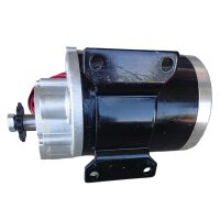 Elektromotor 24V 500W MY1020ZXFH mit Untersetzung & Halter 560 U/min.