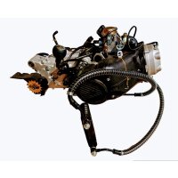 Motor Set GY6 200ccm Mikilon Hammer 4x2 & baugleich JN1P63QMK 12kW Ölkühler