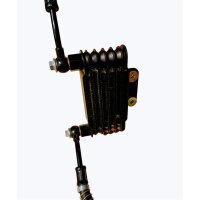 Motor Set GY6 200ccm Mikilon Hammer 4x2 & baugleich JN1P63QMK 12kW Ölkühler