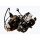 Motor Set GY6 200ccm Mikilon Hammer 4x2 & baugleich JN1P63QMK 12kW Ölkühler