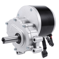Elektro Motor Rollstuhlmotor 24V 250W 120RPM ZD101AZ1...
