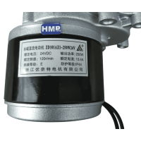 Elektro Motor Rollstuhlmotor 24V 250W 120RPM ZD101AZ1  Bürstenmotor mit Untersetzung