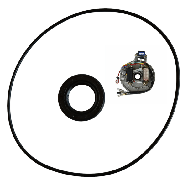 O-Ring 115mm & Simmering 18.9/30/5 Dichtsatz für Zündung Motor ohne Anlasser