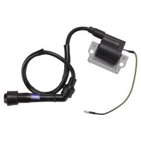Zündspule mit Zündkerzenstecker Shineray XY 400 ccm