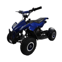 Mini Quad ATV 49ccm 2-Takt Pink