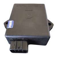 CDI Motorsteuergerät Shineray YX 400ccm 8-Pin