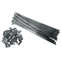 Speiche 36x mit Nippel Speichensatz für 17 Zoll Felge vorne 204mm XB XMOTOS