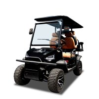 2+2 Sitzer Golfcart mit Straßenzulassung schwarz,...
