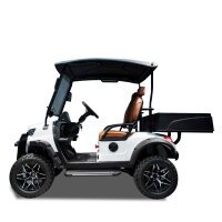 Golfcart mit Straßenzulassung weiß 2-Sitzer...