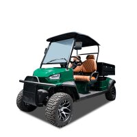 Golfcart mit Straßenzulassung 2-Sitzer grün...