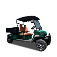 Golfcart mit Straßenzulassung 2-Sitzer grün...